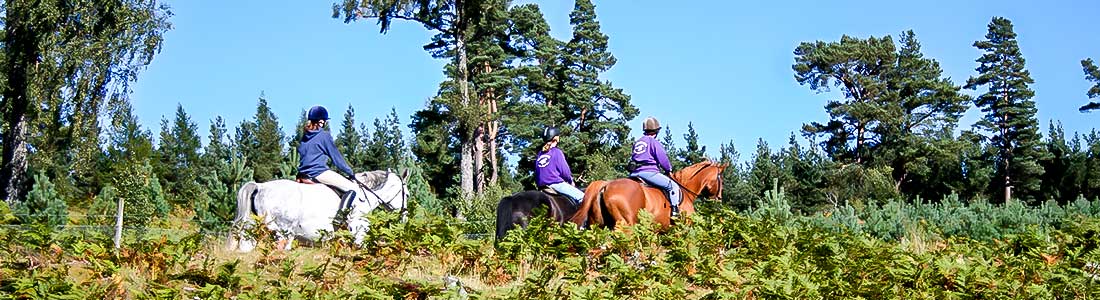 letterbox_crop_activities_horse_riding_001 Alvie Estate Horse Riding